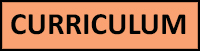 Curriculum